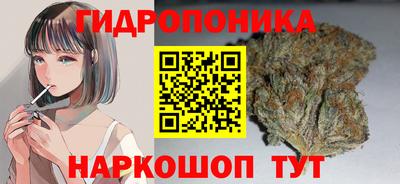 соль ск Обнинск