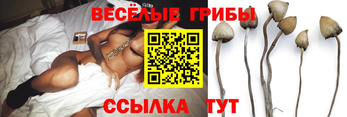 сколько стоит  Вход с VPN  Морозовск  Псилоцибиновые грибы ЛСД  Псилоцибиновые грибы GOLDEN TEACHER 